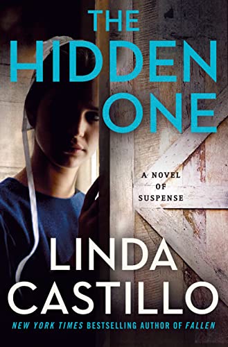 cover image The Hidden One: A Kate Burkholder Novel