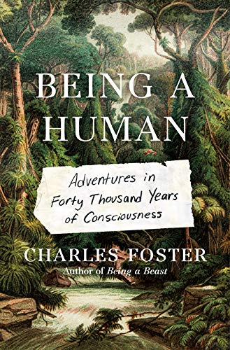 cover image Being a Human: Adventures in Forty Thousand Years of Consciousness