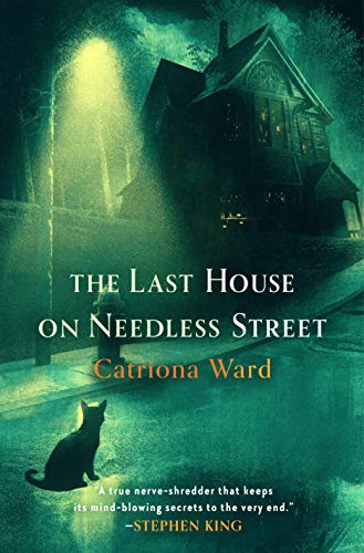 cover image The Last House on Needless Street