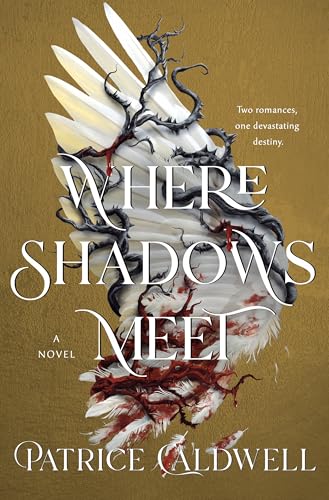 cover image Where Shadows Meet