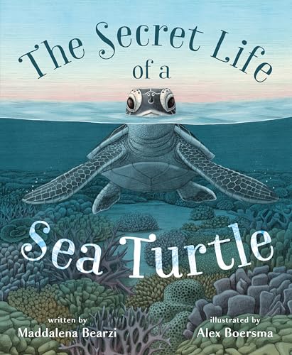 cover image The Secret Life of a Sea Turtle