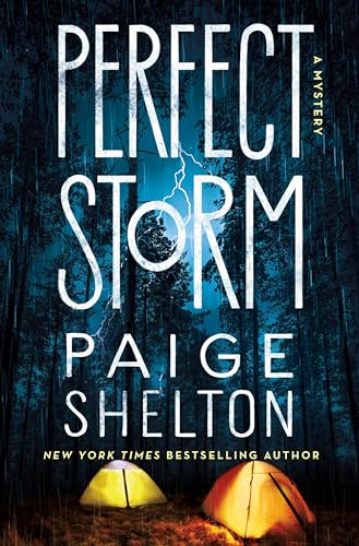 cover image Perfect Storm