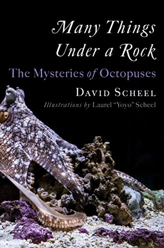 cover image Many Things Under a Rock: The Mysteries of Octopuses