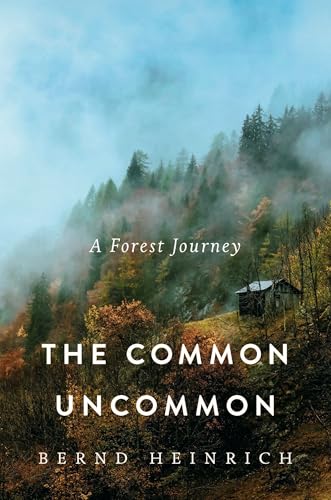 cover image The Common Uncommon: A Forest Journey