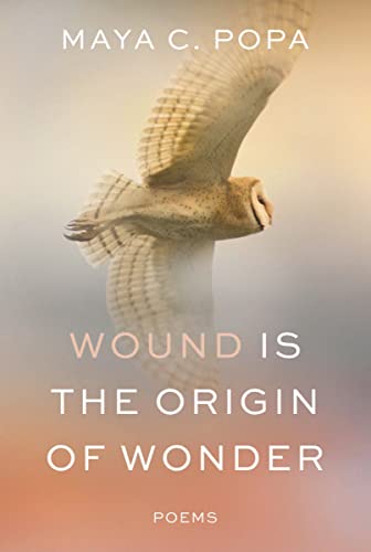 cover image Wound Is the Origin of Wonder