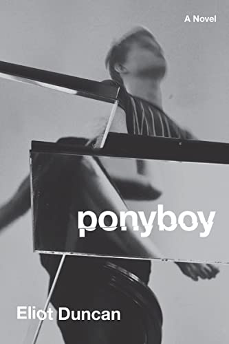 cover image Ponyboy