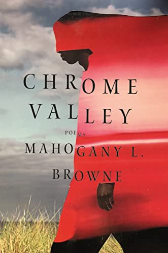 cover image Chrome Valley