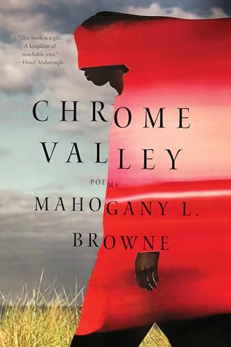 cover image Chrome Valley