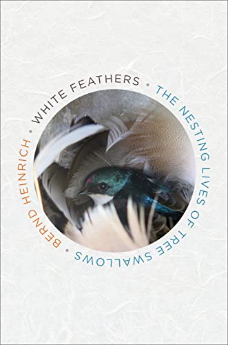 cover image White Feathers: The Nesting Lives of Tree Swallows 