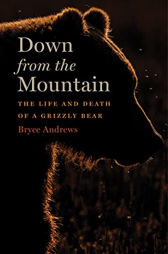 cover image Down from the Mountain: The Life and Death of a Grizzly Bear
