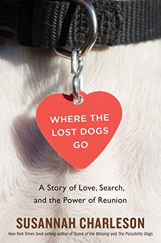 cover image Where the Lost Dogs Go: A Story of Love, Search, and the Power of Reunion 