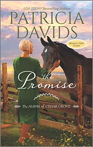 cover image The Promise