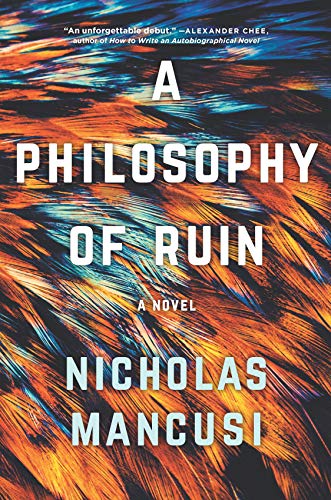 cover image A Philosophy of Ruin