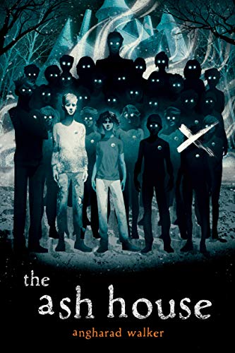 cover image The Ash House