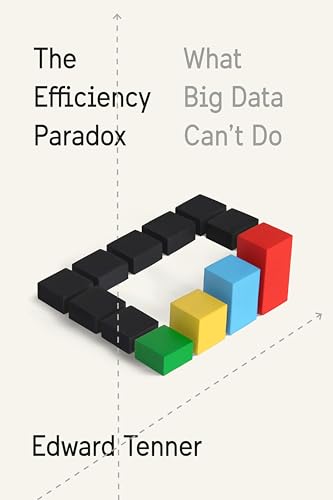 cover image The Efficiency Paradox: What Big Data Can’t Do