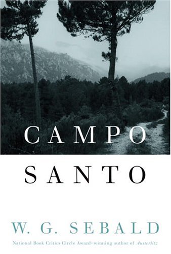 cover image CAMPO SANTO