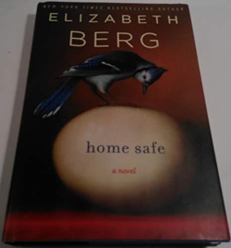 cover image Home Safe