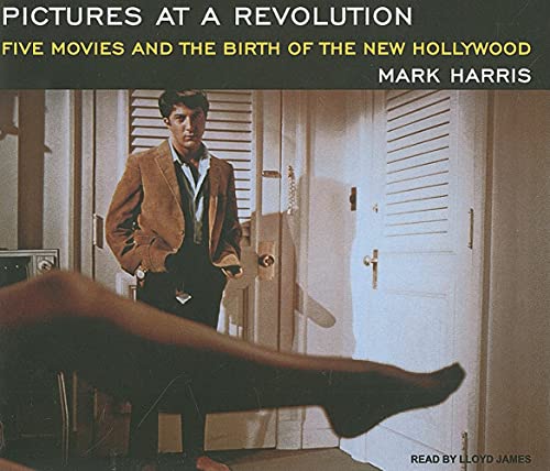 cover image Pictures at a Revolution