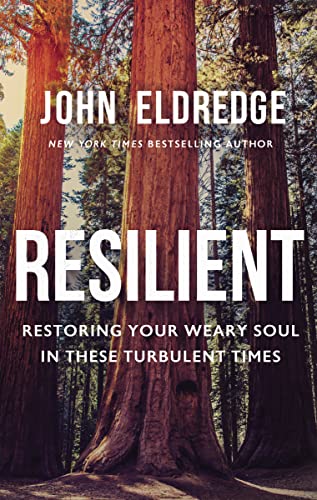 cover image Resilient: Restoring Your Soul in These Turbulent Times