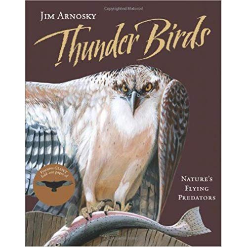 cover image Thunder Birds: Nature's Flying Predators