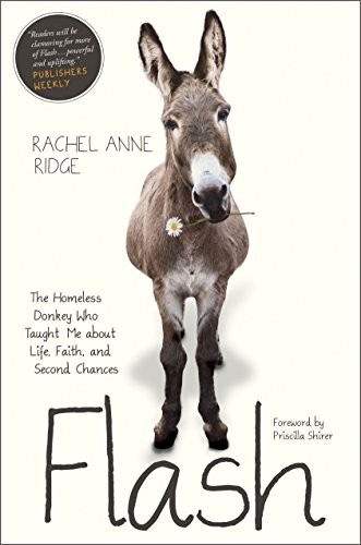 cover image Flash: The Homeless Donkey Who Taught Me About Life, Faith, and Second Chances