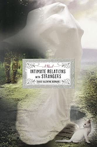 cover image Intimate Relations with Strangers