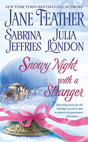 cover image Snowy Night with a Stranger