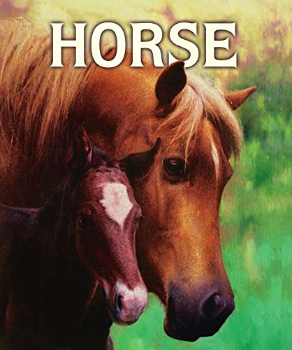 cover image Horse