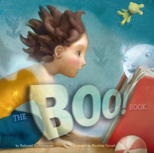 cover image The Boo! Book