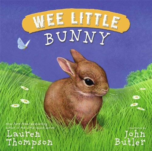 cover image Wee Little Bunny