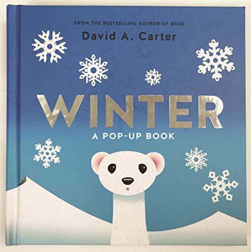 cover image Winter: A Pop-up Book