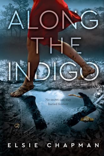 cover image Along the Indigo