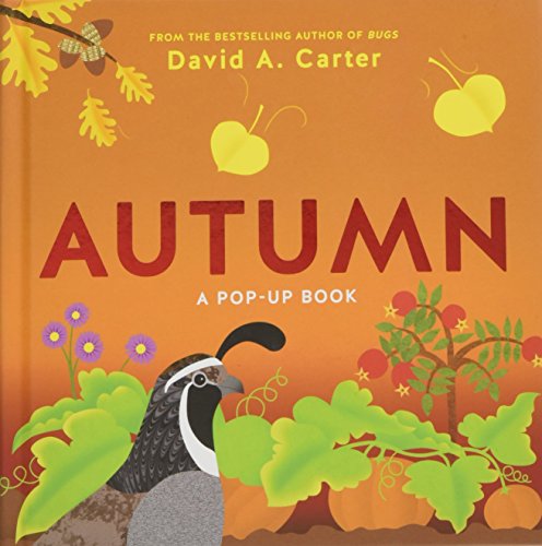 cover image Autumn: A Pop-up Book