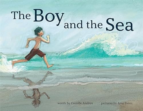 cover image The Boy and the Sea
