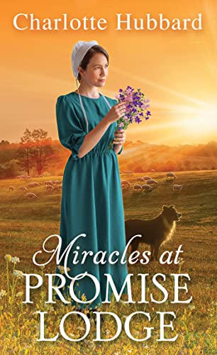 cover image Miracles at Promise Lodge