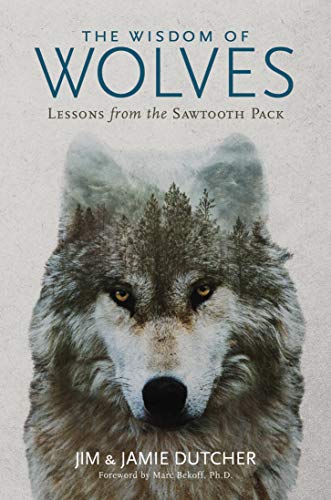 cover image The Wisdom of Wolves: Lessons from the Sawtooth Pack