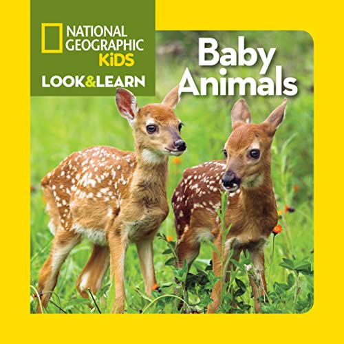 cover image Baby Animals