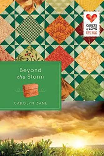 cover image Beyond the Storm