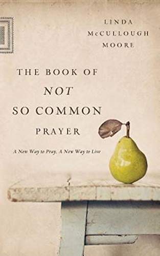 cover image The Book of Not So Common Prayer: A New Way to Pray, A New Way to Live