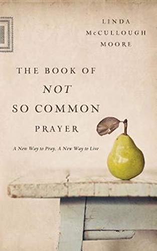 cover image The Book of Not So Common Prayer: A New Way to Pray, A New Way to Live