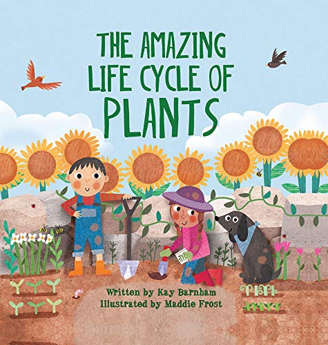 cover image The Amazing Life Cycle of Plants