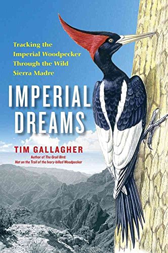 cover image Imperial Dreams: Tracking the Imperial Woodpecker Through the Wild Sierra Madre