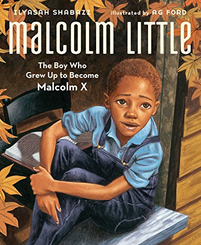 cover image Malcolm Little: The Boy Who Grew Up to Become Malcolm X