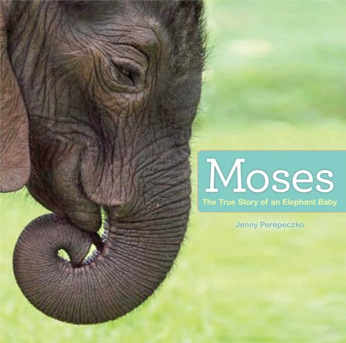 cover image Moses: The True Story of an Elephant Baby 