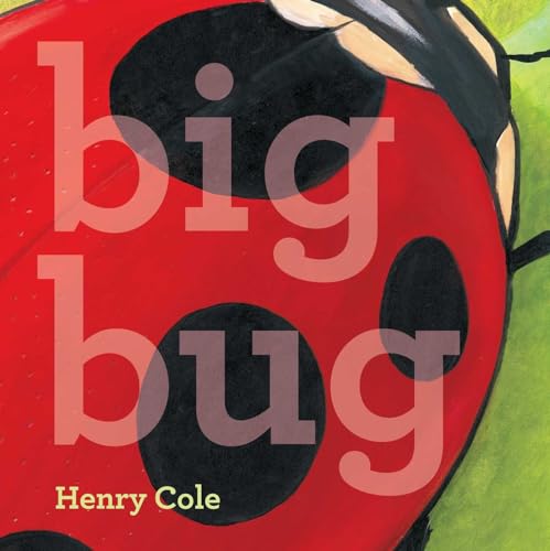 cover image Big Bug