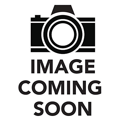 cover image Horses Never Lie about Love: 
The Heartwarming Story of a Remarkable Horse Who Changed the World Around Her