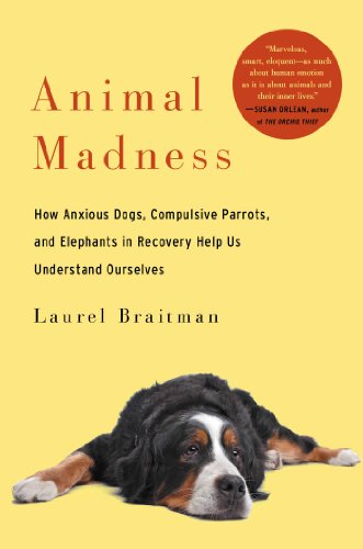 cover image Animal Madness: How Anxious Dogs, Compulsive Parrots, and Elephants in Recovery Help Us Understand Ourselves