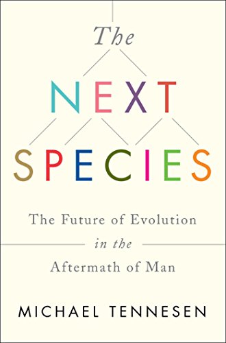 cover image The Next Species: The Future of Evolution in the Aftermath of Man