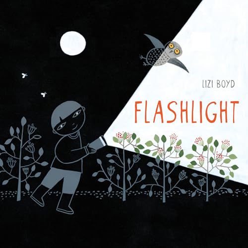 cover image Flashlight