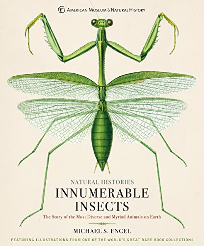 cover image Innumerable Insects: The Story of the Most Diverse and Myriad Animals on Earth 
